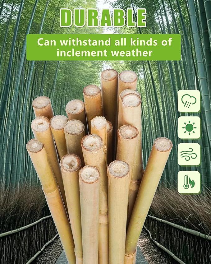 18in Natural Bamboo Plant Stakes 50pcs for Tomatoes, Beans, Flowers, Potted, Climbing Plants