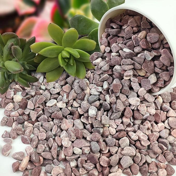 FANTIAN 2 lbs Succulent and Cactus Pebbles Gravel, 3/8 Inch Decorative Red River Rocks for Plants Indoor, Vases, Terrarium, Potted Top Dressing and Outdoor Decorative Stones