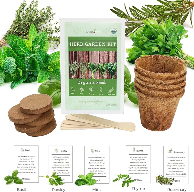 Herb Garden Kit. Seed Starter Kit Indoor. Grow 5 Different Herbs - Basil, Mint, Parsley, Thyme and Rosemary from Organic Seeds at Home. Gardening and Home Decoration Gifts