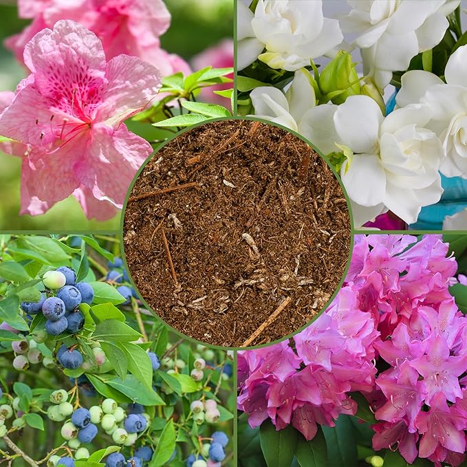 Soil Sunrise Acid Loving Plant Potting Soil Mix (12 Quarts) Premium Container Blend pH Balanced for Azaleas, Rhododendrons, Blueberries and More