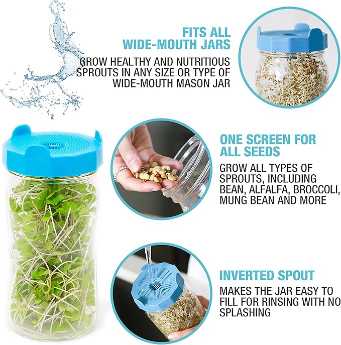 Masontops Bean Screen Plastic Mason Jar Sprouting Lids Mason Jar Sprouting Kit – For Growing Broccoli Seeds, Alfalfa, Mung Bean Sprouts – Wide Mouth Seed Sprouting Jar Lids Sprouting Kit Mason Jar
