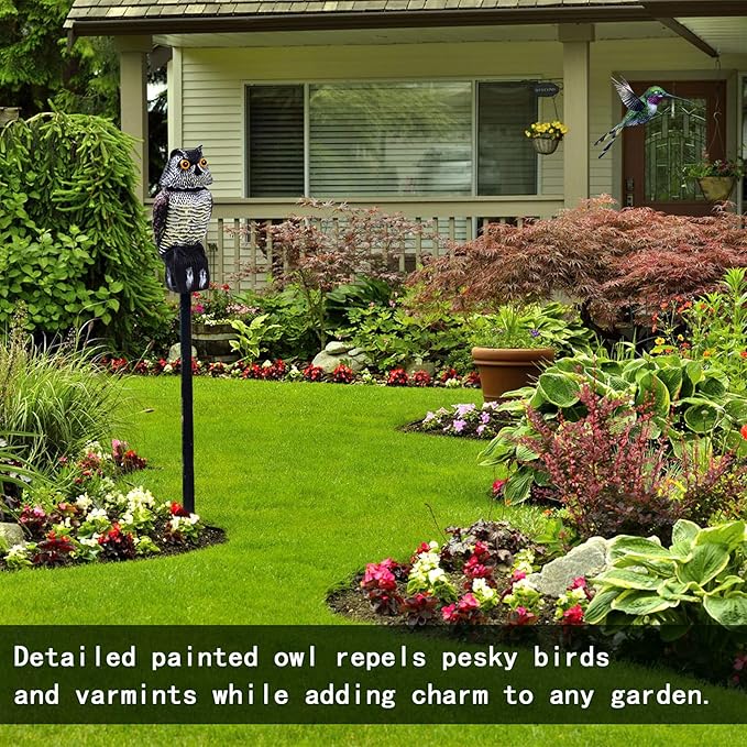 Hedoc Fake Owl Decoys to Scare Birds Away, Rotating Head Sculptures, Nature Enemy Scarecrow Plastic Statues, Pest Repellent, Bird Control and Pigeon Deterrent Outdoor Yard, Garden Protectors
