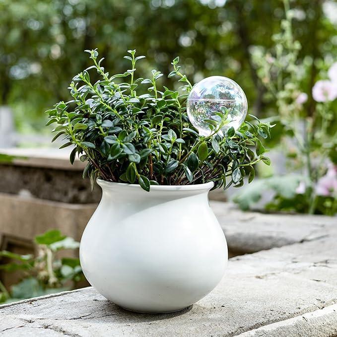 Soilagua 13 oz Up 2 Weeks Extra Large Plant Watering Globes, Iridescent Rainbow Glass Water Bulbs, Self Watering Planter Insert, Vacation Plant Watering Devices System, Automatic Plant Waterer, 2 Pack
