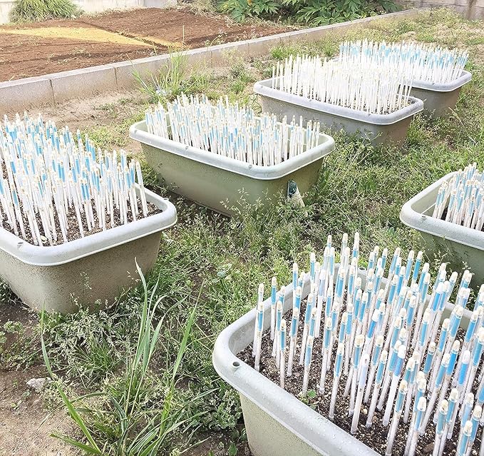 IPPINKA Sustee Aquameter, Bundle of 36, House Plant Soil Moisture Meter, Best for Indoor Potted Plants - Large Green Refillable