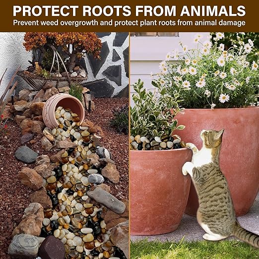 NUPICK 12lb River Rocks for Plants Indoor, 1-2Inch Mixed Pebbles for Vase Fillers, Decorative Gravel for Fish Tank, Natural Polished Stones for Succulent, Bonsai, Landscaping, Bird Baths