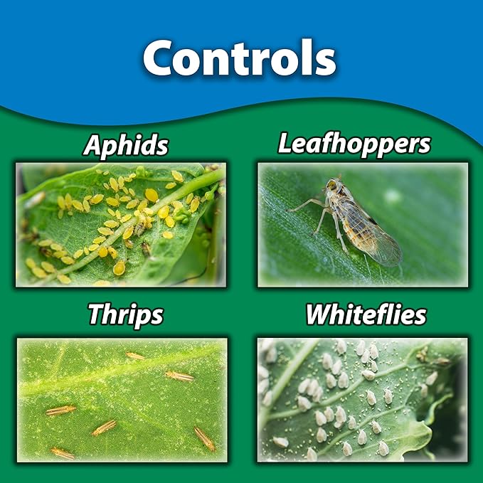 Monterey Fruit Tree Spray & Vegetable, Apply Once for Season Long Control, Imidacloprid Systemic Insecticide - 1 Quart