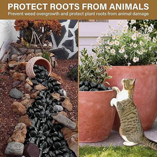 12lb Black River Rocks for Plants Indoor, 2-3Inch Pebbles for Vases Fillers, Decorative Gravel for Fish Tank, Natural Polished Stones for Succulent, Bonsai, Landscaping, Bird Baths