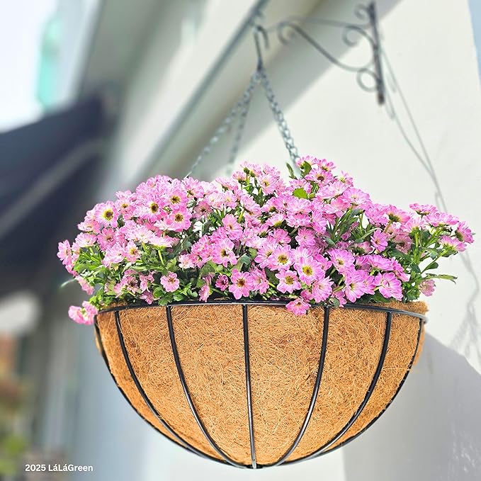 LaLaGreen Hanging Baskets for Plant Outdoor (18 Inch, 2 Pack) Extra Large Black Metal Wire Hanging Planter with Coco Liner Round Flower Pot Holder Hanger Deck Porch Modern Garden Balcony Country Decor
