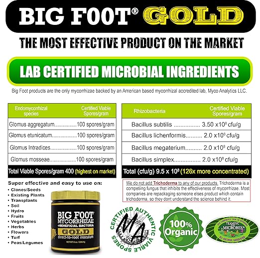Big Foot Gold Mycorrhizal Fungi - 127 x More Concentrated Than Competition- 950 Million CFU/gram Bacteria, 400 Spores per gram. Treats 10,800 Plants (8 oz)
