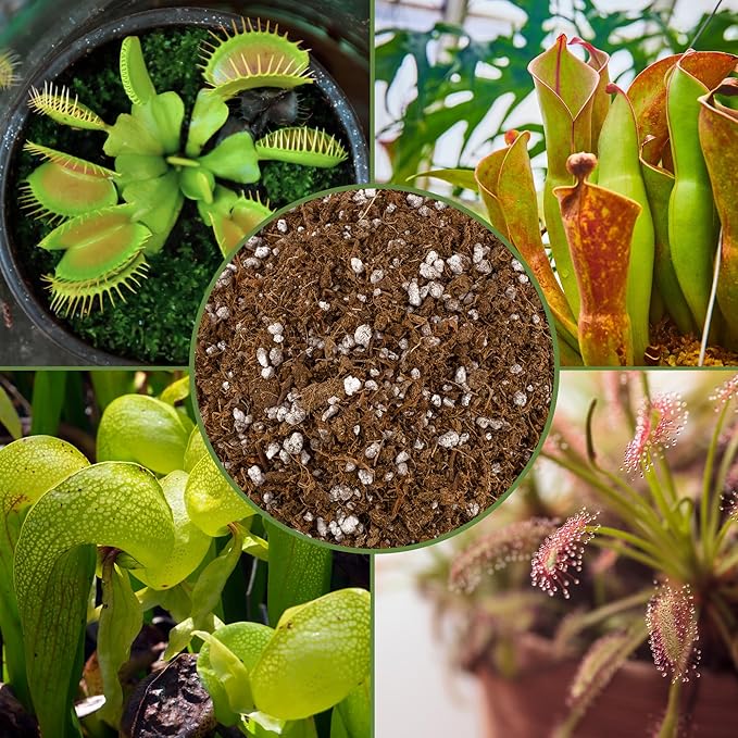 Soil Sunrise Carnivorous Plant Potting Soil Mix (12 Quarts) Custom Blend for Venus Fly Traps, Sundews, and Pitcher Plants