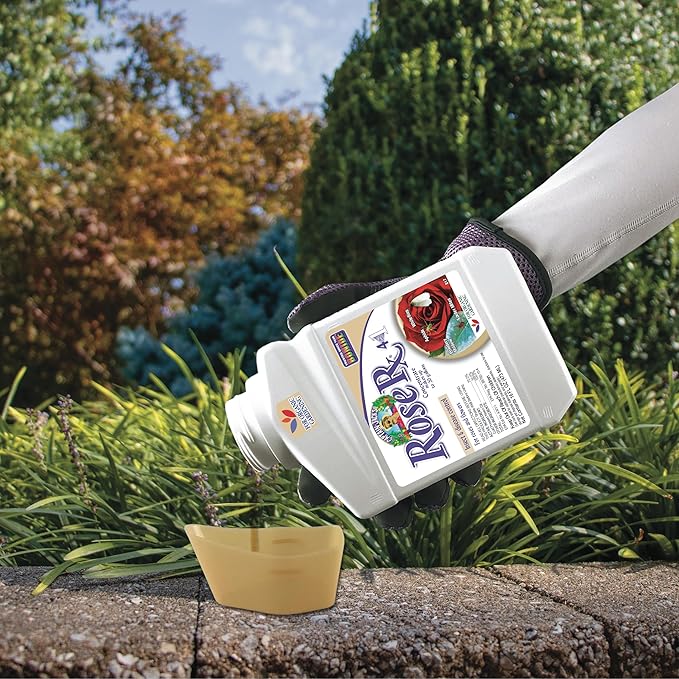 Bonide Captain Jack's Rose Rx 4-in-1 Insect & Disease Control, 16 oz Concentrate Neem Oil for Organic Gardening