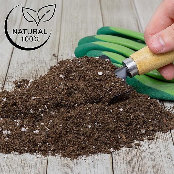 Soil Sunrise Lucky Bamboo Plant Potting Mix (4 Quarts) Custom Soil Mix for Repotting