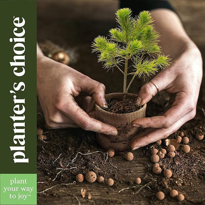 Bonsai Starter Kit - Gardening Easter Gift for Women & Men - Bonsai Tree Growing Garden Crafts Hobby Kits for Adults, Unique DIY Hobbies for Plant Lovers - Unusual Christmas Gifts Ideas