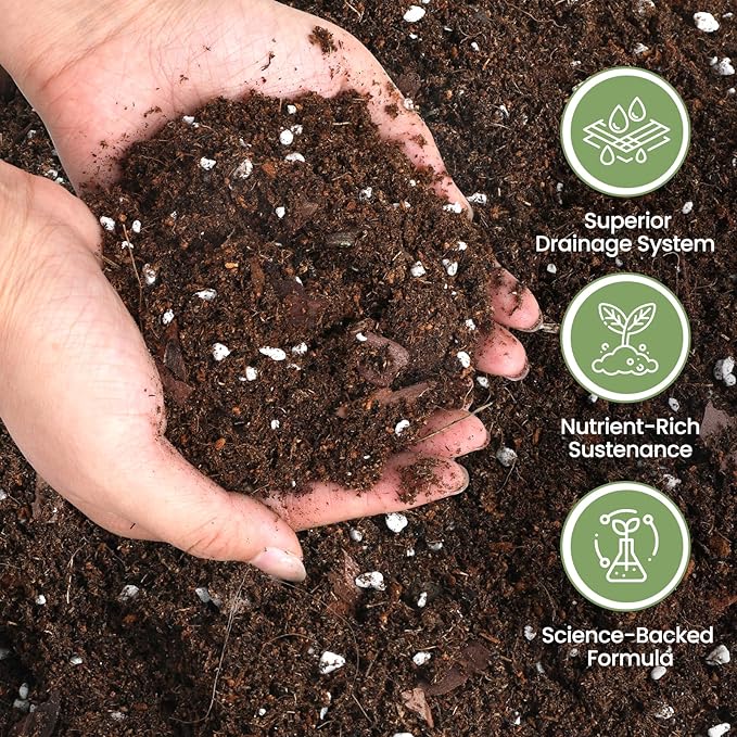 Avocado Soil 1qt, 100% Natural Organic Potting Soil for All-Stage Avocado Tree Growth