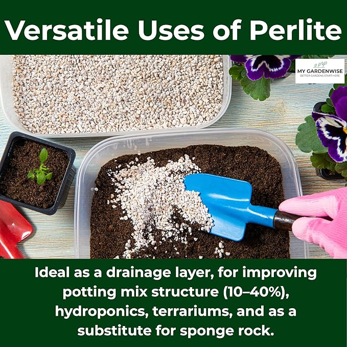 GARDENWISE Perlite for Plants, Coarse and Chunky Horticultural Perlite, Organic Perlite for Gardening Indoor & Outdoor, Perlite Bulk Bag, Made in USA (20 quarts)