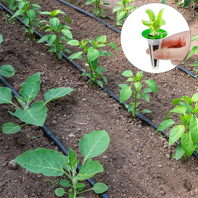 Vesici 240 Pieces Hydroponic Pod Kit Including Grow Baskets Grow Sponges and Domes Pod Labels Hydroponics Growing Kit for Garden Indoor