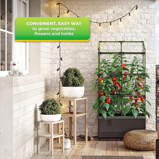 BioGreen Cover for Raised Garden Bed City Jungle & Heidelberg | Transparent Design | Incl. 2 Zippers | Protection from Cool Nights | Easy to Assemble