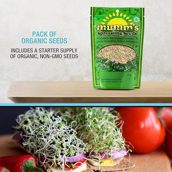 Masontops Mason Jar Bean Sprouting Jar Starter Set - Easy DIY Bean Sprout Kit with Organic Seeds, Sprouting Lids, Complete Bean Sprouts Grow Kit