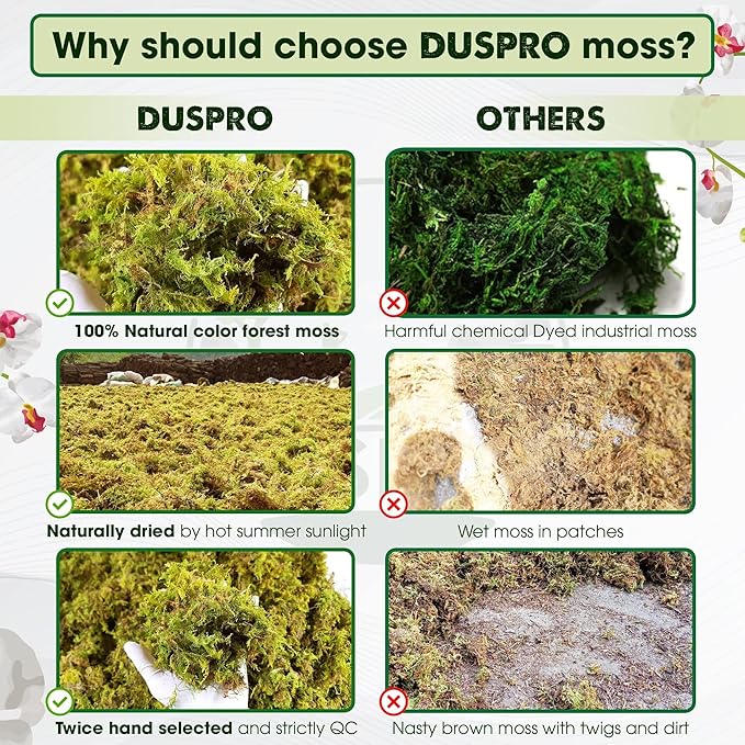 DUSPRO 2.1LBS Dried Moss for Potted Plants, Forest Orchid Moss for Potting Mix, Sphagnum Potting Moss for Plants Indoor, Real Moss Soil Cover for Houseplant
