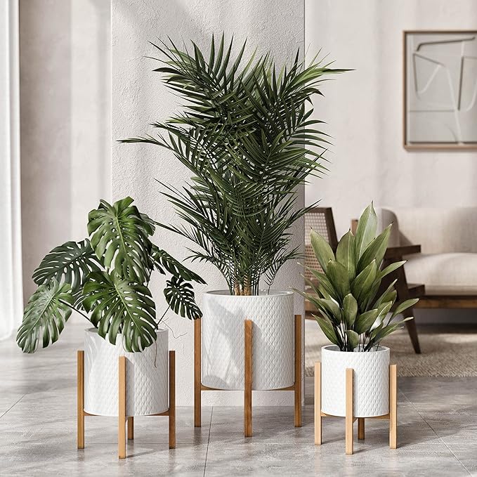 EverNest Claire Minimalist White Plant Pot with Kinsley Wood Stand, Indoor Mid-Century Planter, SelectBase, Modern Plant Holder, Boho Style Home Décor Pots (Medium, 2 Gallon)