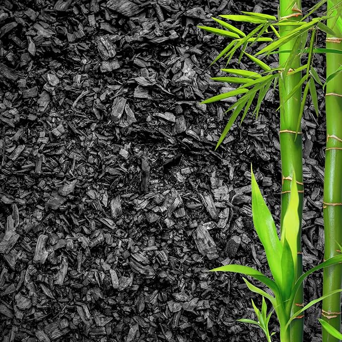 GARDENWISE Horticultural Charcoal for Plants – Organic Bio Char Soil Amendment for Terrariums, Indoor Plants & Gardening, Made in USA (5 quarts)