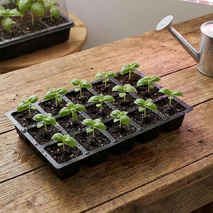 Mr. Pen 5-Set Seed Starter Tray Kits, Durable Plant Germination Trays with Humidity Vented Domes and Bases, Ideal for Seed Starting, Indoor Gardening, and Greenhouse