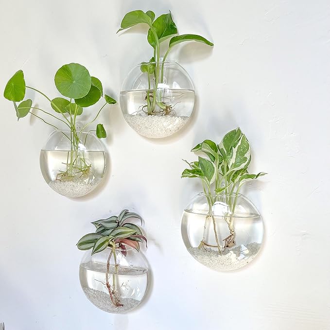 Kingbuy Wall Hanging Glass Planter Propagation Station - 4 Pack Oblate Globe Wall-Mounted Vases for Indoor Hydroponic Air Plants Bathroom Living Room Office Decor Gift for Women, Mom, Plants Lovers