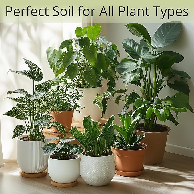 Coconut Coir Potting Soil for Indoor Plants - Expands to 5 Quart (11 lb) | Bonsai Soil Discs Perfect for General Houseplants, Herbs, and Bonsai Trees - Expands with Water