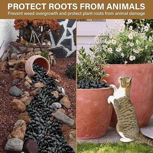 16lb Black River Rocks, 1-2 Inch Pebbles for Indoor Plants, Natural Polished Aquarium Gravel, Decorative Rocks for Outdoor Landscaping, Succulent, Garden, Vases Fillers, Bird Baths