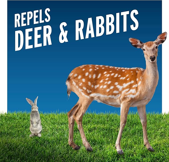 Liquid Fence Deer And Rabbit Repellent Concentrate 2.5 Gallons, Apply Year-Round
