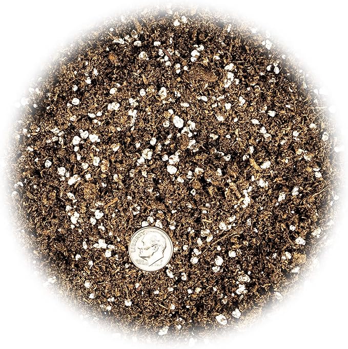 Gardenera Premium Organic Potting Soil, Succulent & Cactus Soil Mix, Fast Draining Pre-Mixed Blend - Horticultural Perlite (25%) + Peat Moss (75%) - Made in USA - 1 Quart