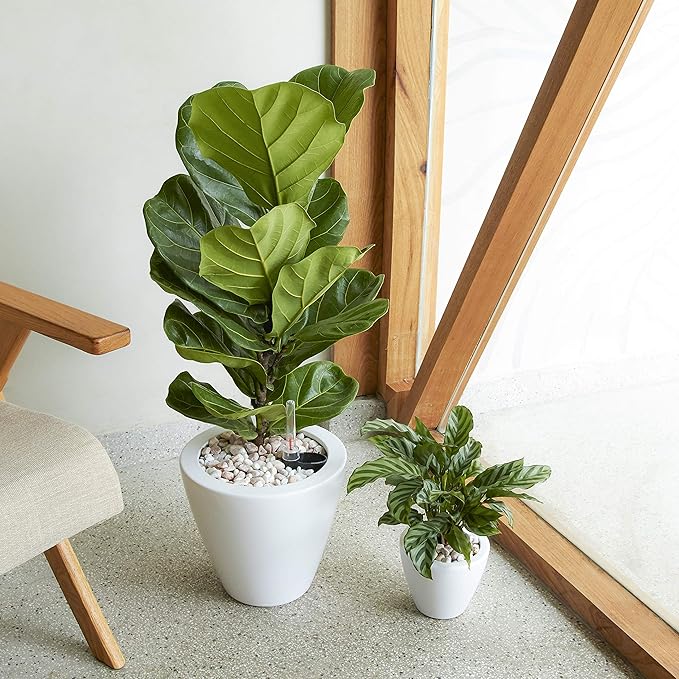Smart Self-Watering Planter Pot for Indoor and Outdoor 5.5" Round Cone Suitable for All Plants, Herb, Succulents, Flowers (Round, White)