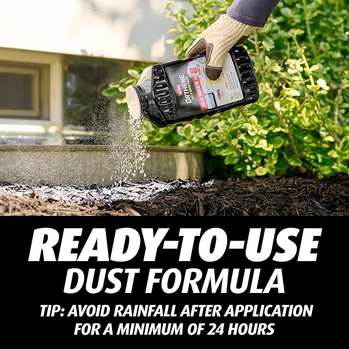 Ortho Orthene Ant and Roach Killer - Provides Long-Lasting Insect Control, Bug Killer for Indoor and Outdoor Use, 1 lb.