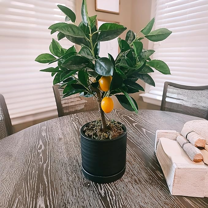 HERDUK 6 Inch Plant Pots, Ceramic Planter Pot with Drainage Hole & Saucer, Indoor/Outdoor Cylinder Round Planter Pot, Matte Black