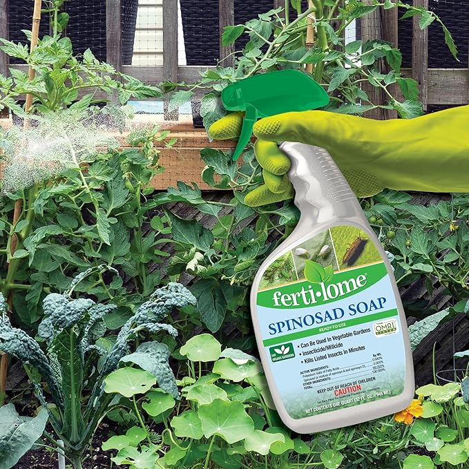 Fertilome (16076) Spinosad Soap Insecticide Ready to Use, Spinosad Bagworm, Tent Caterpiller & Chewing Insect Killer, OMRI Listed (32 oz.)