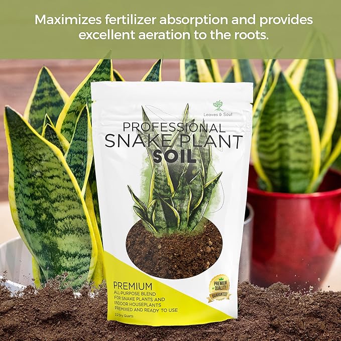 Professional Snake Plant Soil | Large 8.2 Quarts Ready to Use for Snake Plants | Peat Moss, Coco Coir, Perlite, Dolomite | Made in USA