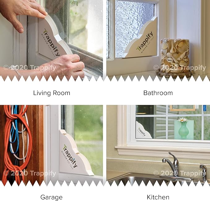 Trappify Window Fly Trap Indoor | Fruit Fly Traps for Indoors | Gnat Traps for House Indoor | Disposable Trap with Sticky Adhesive Strips | Bug Catchers (4 Pack)