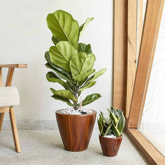 Set of 2, Smart Self-Watering Planters for Indoor and Outdoor - Round, Imitation Wood