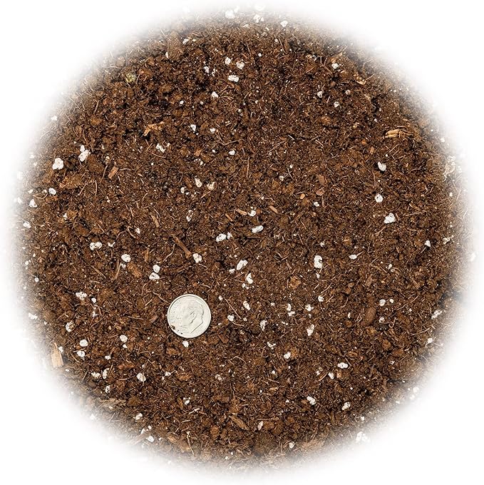 GARDENERA Money Tree Potting Soil Mix for Planting or Repotting Guiana Chestnut, Soil Blended to Properly Grow Money Tree Plants - (1 Quart Bag)