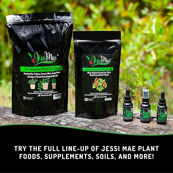 Jessi Mae Potting Soil - 4-Quart Bag, Perlite - Well-Draining Snake Plant Soil - Slightly Acidic Potting Mix for Indoor Plants