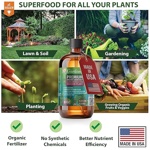 GARDENERA Premium Organic Seaweed & Kelp Superfood for ZAMIOCULCAS Plants - 8 oz - Liquid Kelp Fertilizer Concentrate (Makes 45 Gallons)