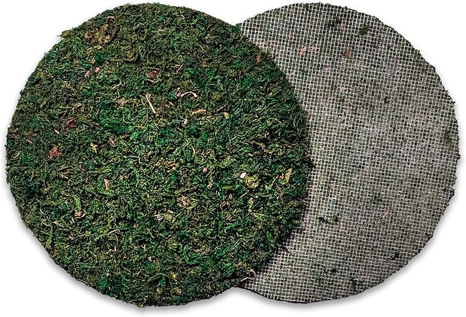 SuperMoss Topper Preserved Green Mountain Moss with Mesh Backing | Indoor Plant Cover for Flowerpots, Orchid Pots, Succulent Soil, Terrariums, and Craft Décor, 3 Count