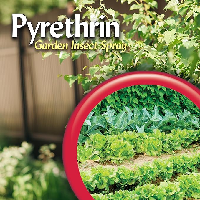 Bonide Pyrethrin Garden Insect Spray Concentrate, 8 oz Ready-to-Mix Fast Acting Insecticide for Outdoor Garden Use