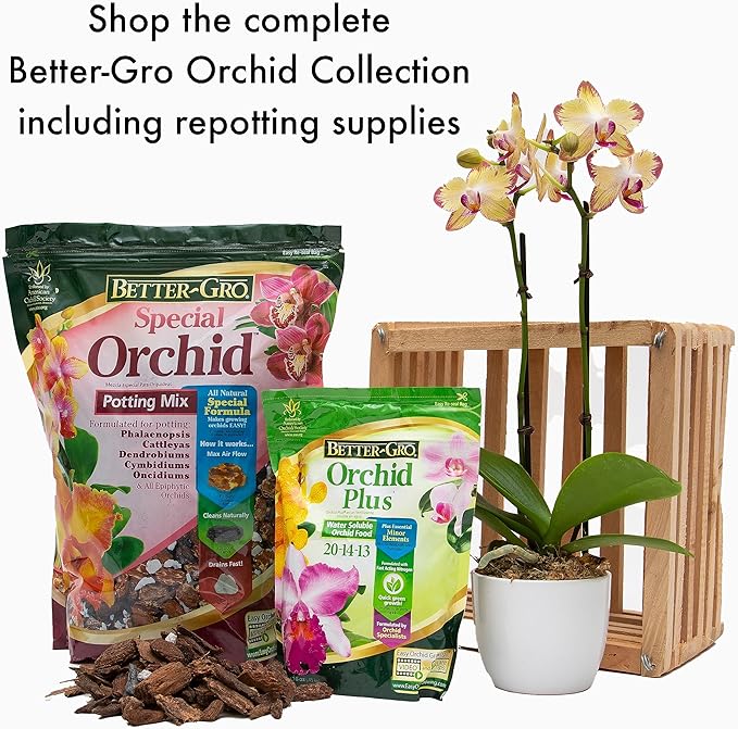 Better-Gro Special Orchid Mix - Premium Grade Orchid Bark Potting Mix for Potting, Repotting, Enhanced Drainage, Air Flow & Root Ventilation, Ideal for Phalaenopsis, Cattleyas, Dendrobiums - 4 Quarts