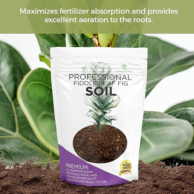 Professional Fiddle Leaf Fig Soil Mix Large 2.2 Quarts Ready to Use, Premium Potting Soil for Fiddle Leaf Fig Indoor Houseplants, Fast Draining Blend Peat Sawdust Coarse Sand Pinebark Made in USA