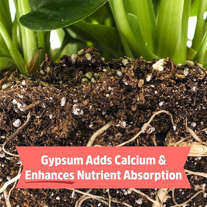 Back to the Roots 100% Organic Bone Meal | Made in the USA | Premium Nutrition for Indoor and Outdoor Plant Gardening