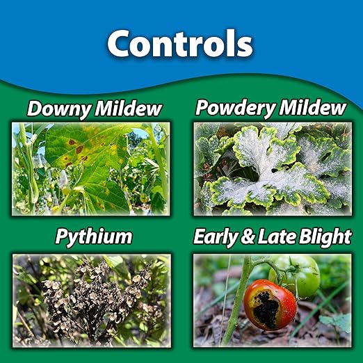 Monterey Copper Fungicide Garden Spray Bundled with Measuring Spoon - Controls Diseases on Citrus, Fruits, Nuts, Vegetables & Ornamentals, Preventative Disease Protection - 1 Pint