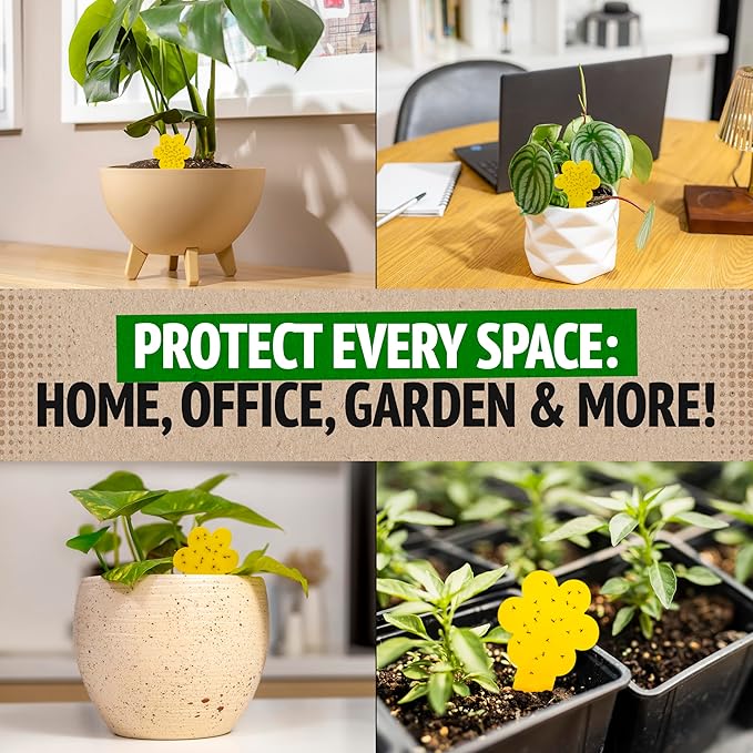 Super Ninja Fungus Gnat Traps - 30 Pack, Highly Effective Gnat Traps for House Indoor, Yellow Sticky Trap for Plants, Non-Toxic & Nature-Friendly, Up to 3 Months