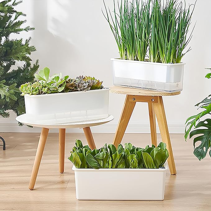 FAMZ Self Watering Pots for Indoor Plants 3 Pack Transparent Rectangular Planter, Vegetable Planters for Windowsill Patio Garden Balcony Home Porch Yard Indoor Outdoor, White