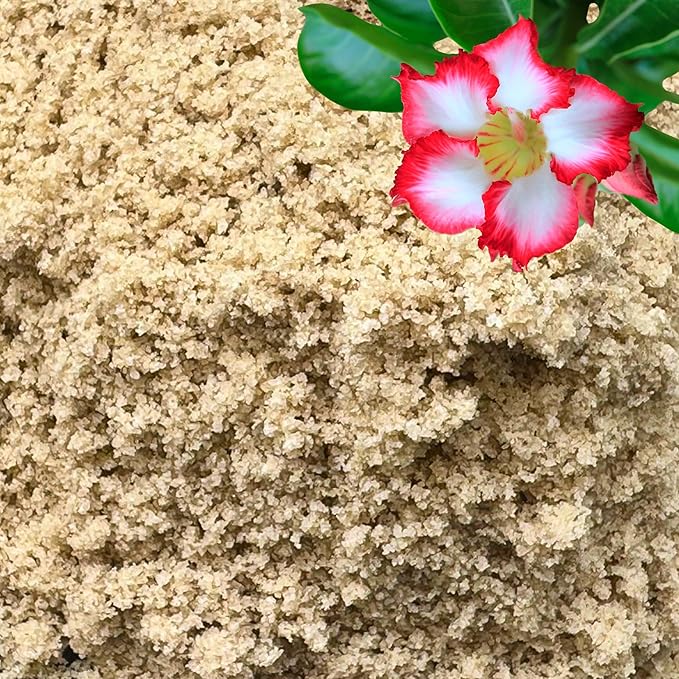 GARDENWISE Fine Sand for Plants – Horticultural Sand for Succulents, Cactus, Potting Mixes, Terrariums & Decorative Indoor Gardens, Made in USA (3 quarts - 8.4 lbs)